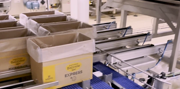Packaging dough products bag in box