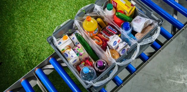 Grocery bag in crate