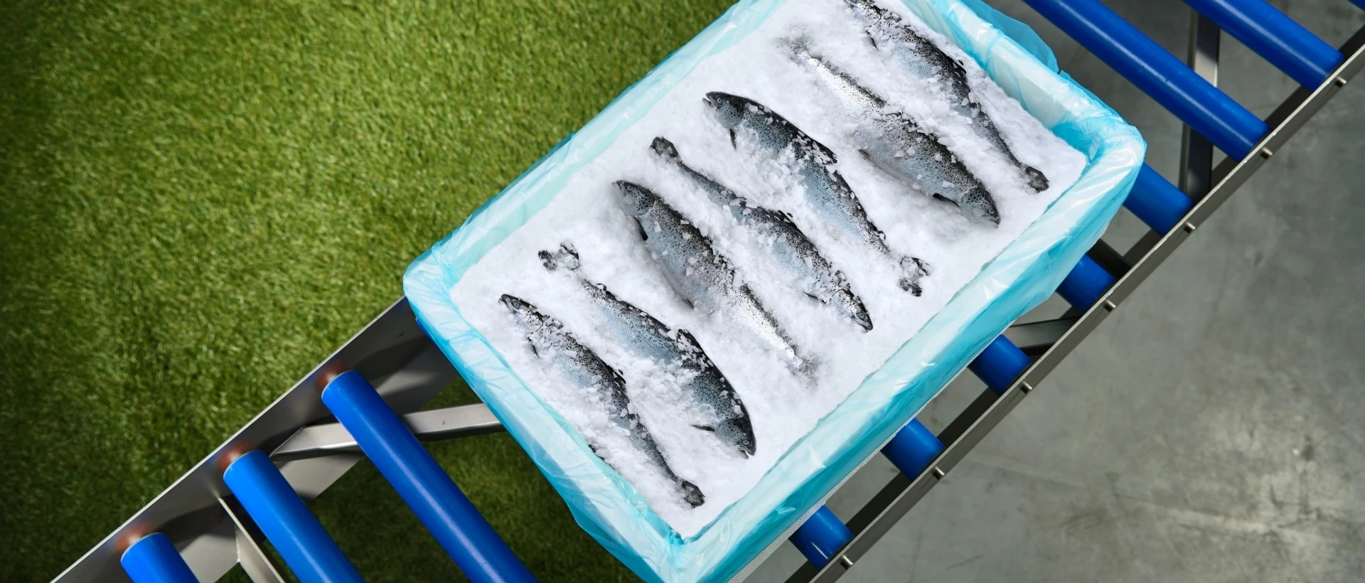 Forel Packing Niverplast