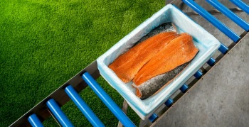 Salmon Bag in crate Niverplast