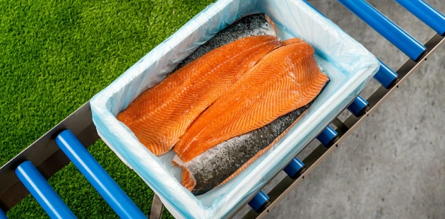 Fish packaging salmon bag in box