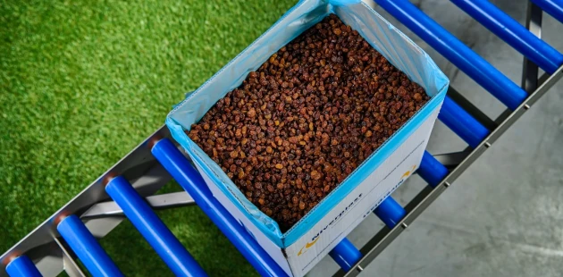 Raisins bag in box