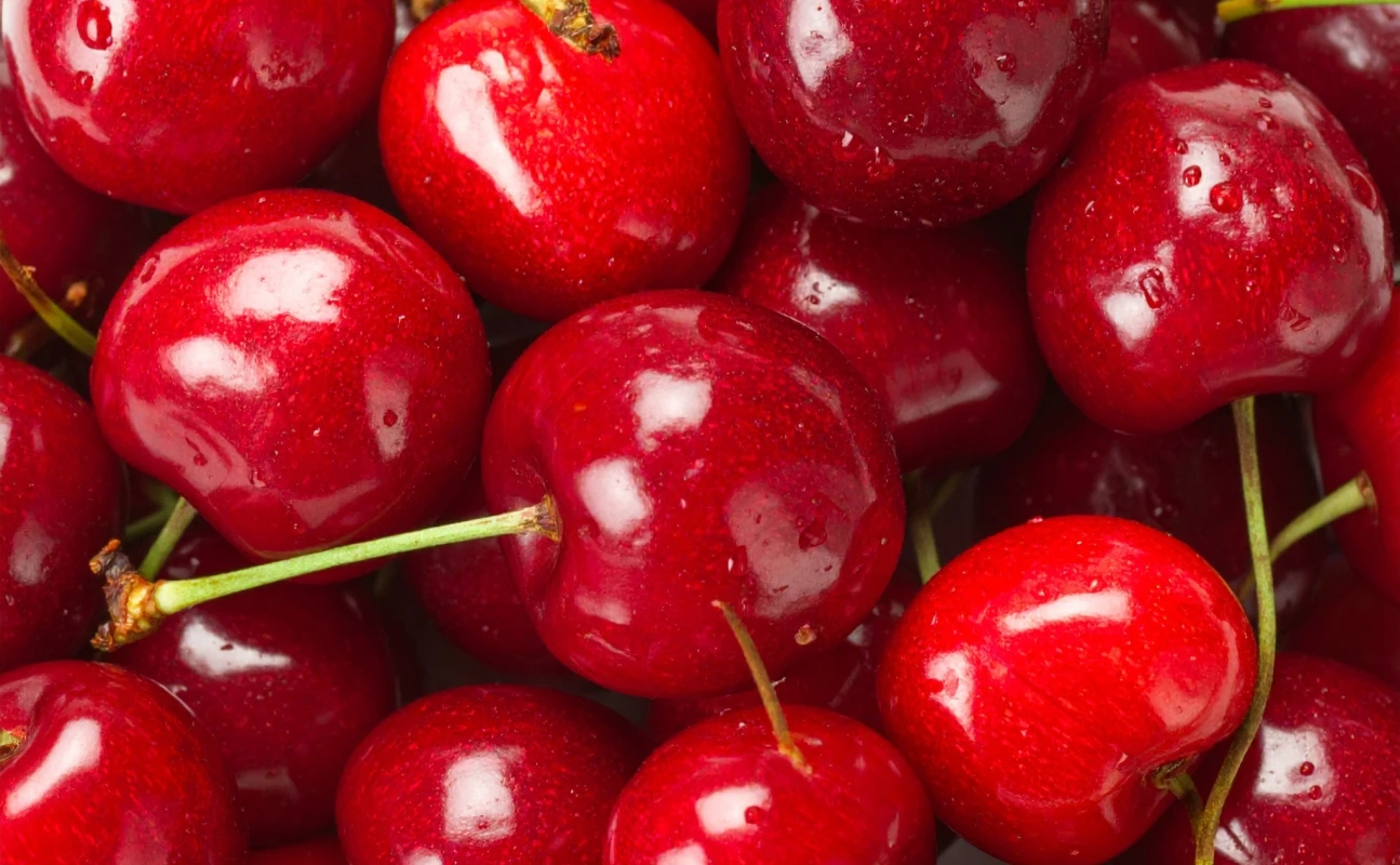 Cherries Niverplast FF711599