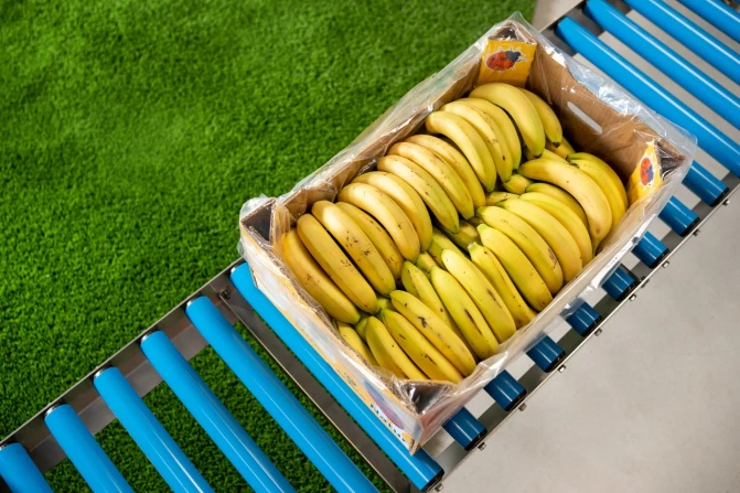 Banana Bag in box