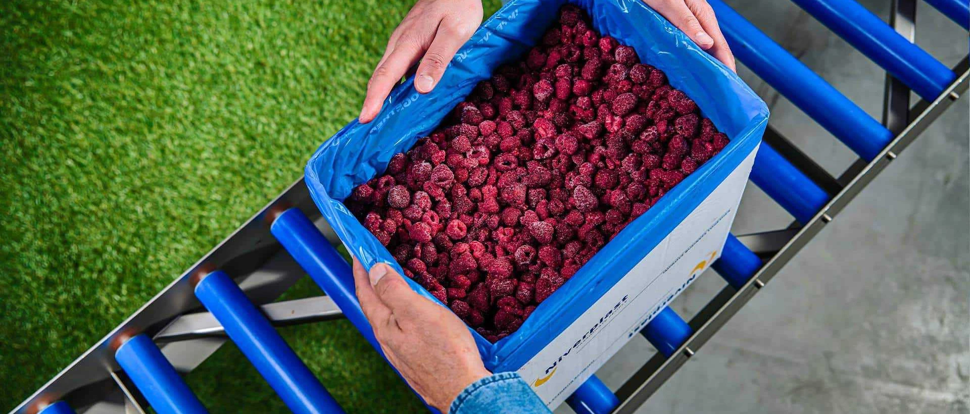 Frozen red berries bulk packaging - bag in box with hands - Niverplast