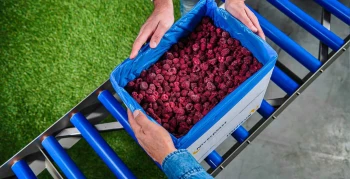 Frozen red berries bulk packaging - bag in box with hands - Niverplast