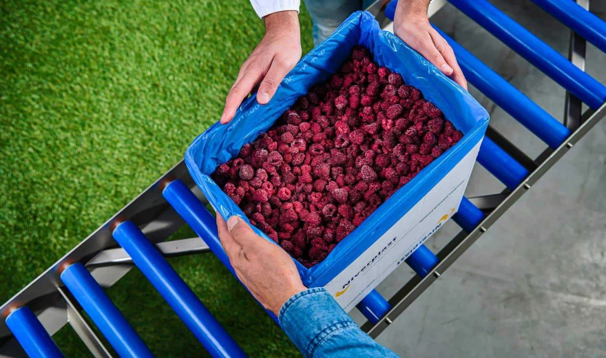 Frozen red berries bulk packaging - bag in box with hands - Niverplast