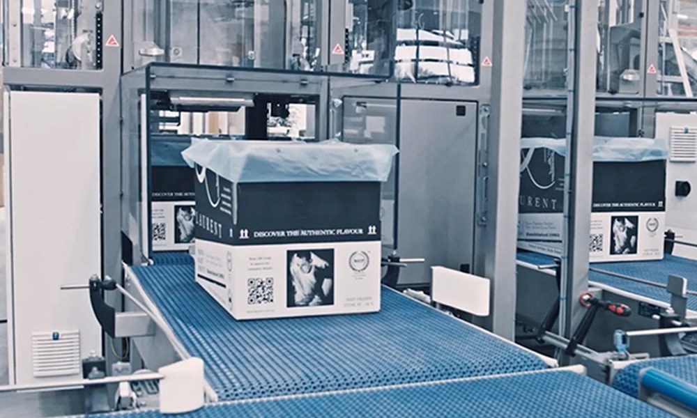 Case Load Box Case filling with our Box Loader - Niverplast B.V.