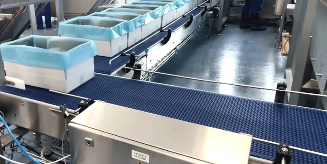 Frozen fish transport conveyor
