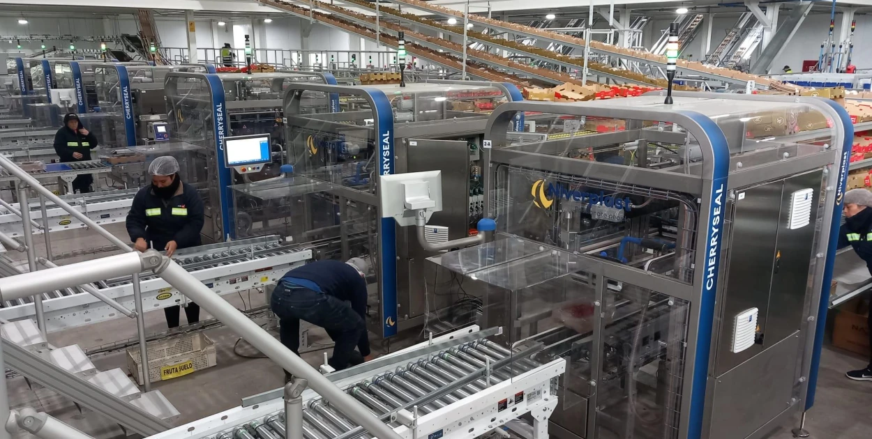CherrySeal | Cherry packaging | Niverplast