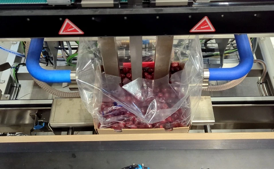 Cherry Seal bag pickup