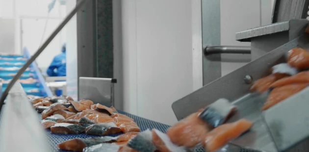 Noordzee International Salmon Packaging