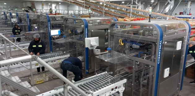 CherrySeal | Cherry packaging |  Niverplast